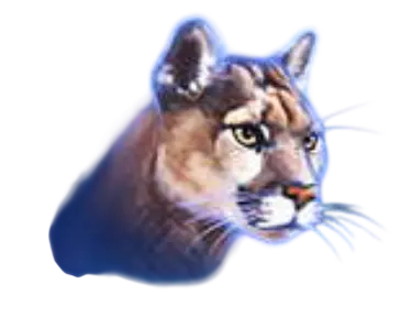 Simbolo puma della slot Buffalo Blitz